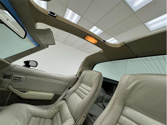 Corvette C3 Interior Dye – Oyster Aerosol Spray (1979-1980) By CA