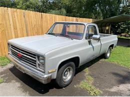 1985 Chevrolet C10 (CC-1852561) for sale in Cadillac, Michigan