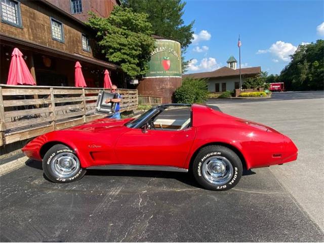 1976 Chevrolet Corvette (CC-1852582) for sale in Cadillac, Michigan