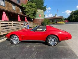 1976 Chevrolet Corvette (CC-1852582) for sale in Cadillac, Michigan