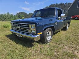 1985 Chevrolet C10 (CC-1852813) for sale in waconia, Minnesota