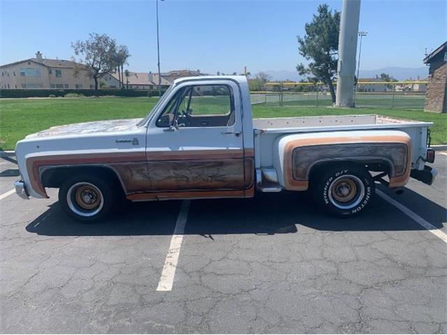 1979 Chevrolet Scottsdale (CC-1852916) for sale in Cadillac, Michigan