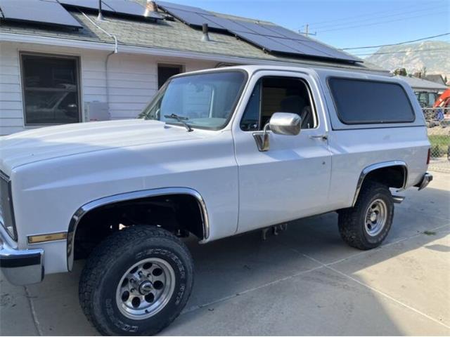 1985 Chevrolet Blazer (CC-1852941) for sale in Cadillac, Michigan