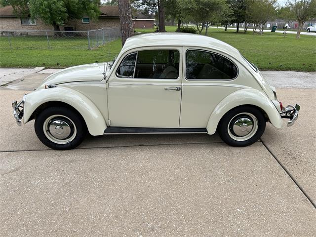 1967 Volkswagen Beetle (CC-1853308) for sale in Spring, Texas