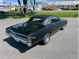 1967 Chevrolet Chevelle (CC-1853640) for sale in North Andover, Massachusetts