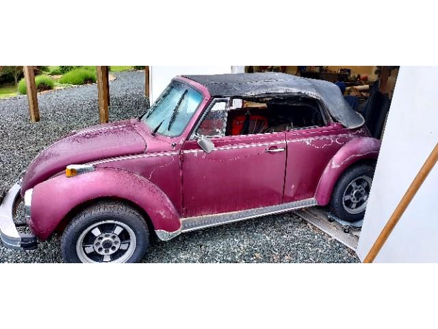 1989 Volkswagen Beetle (CC-1853740) for sale in Oak Harbor, Washington