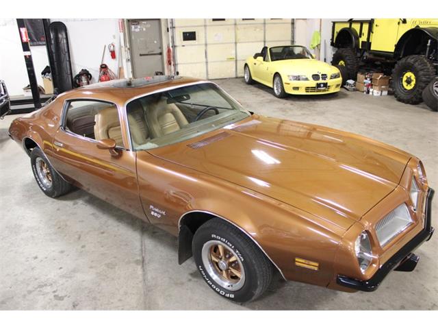 1974 Pontiac Firebird (CC-1854165) for sale in Kentwood, Michigan