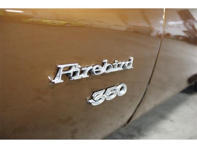 1974 Pontiac Firebird (CC-1854165) for sale in Kentwood, Michigan