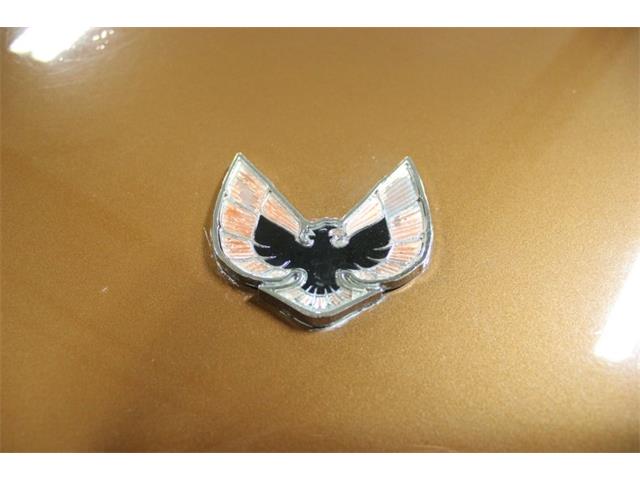 1974 Pontiac Firebird (CC-1854165) for sale in Kentwood, Michigan