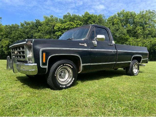 1979 Chevrolet C10 (CC-1854238) for sale in Cadillac, Michigan