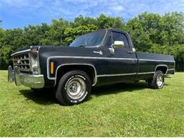 1979 Chevrolet C10 (CC-1854238) for sale in Cadillac, Michigan