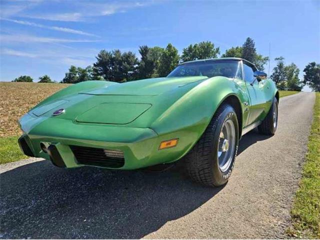 1975 Chevrolet Corvette (CC-1854633) for sale in Cadillac, Michigan