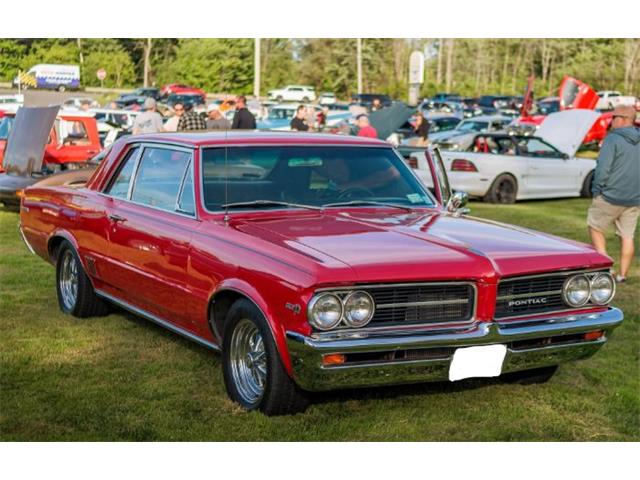 1964 Pontiac LeMans (CC-1854638) for sale in Cadillac, Michigan