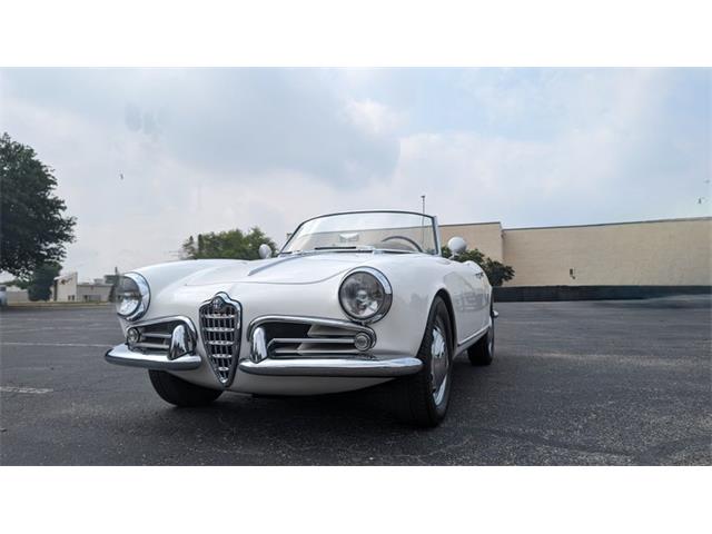 1960 Alfa Romeo Spider (CC-1855195) for sale in Austin, Texas