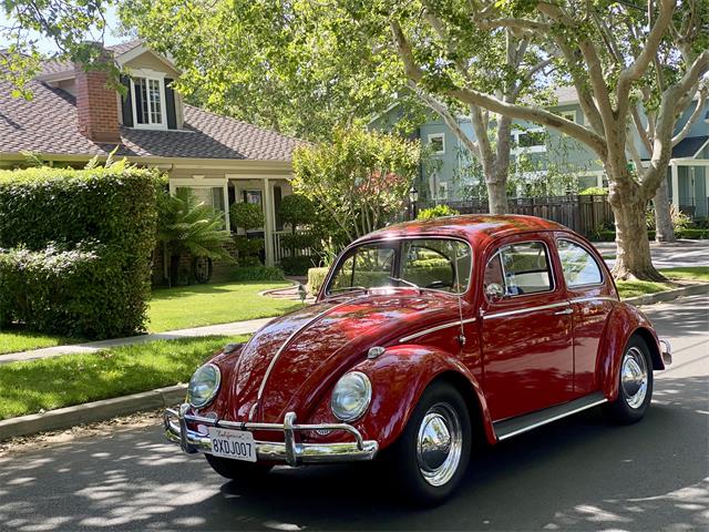 1963 Volkswagen Beetle (CC-1855226) for sale in San Jose, California