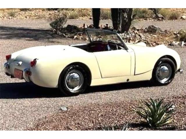 1959 Austin-Healey Sprite (CC-1855296) for sale in Lake Hiawatha, New Jersey