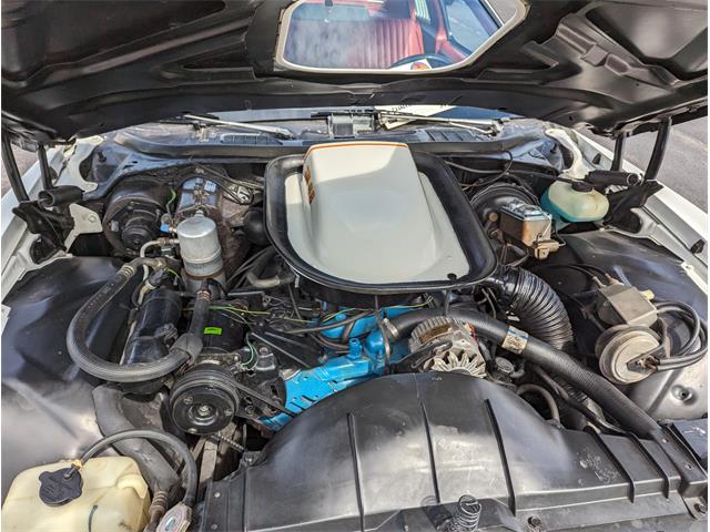 1977 Pontiac Can Am (CC-1850535) for sale in Clinton, New York