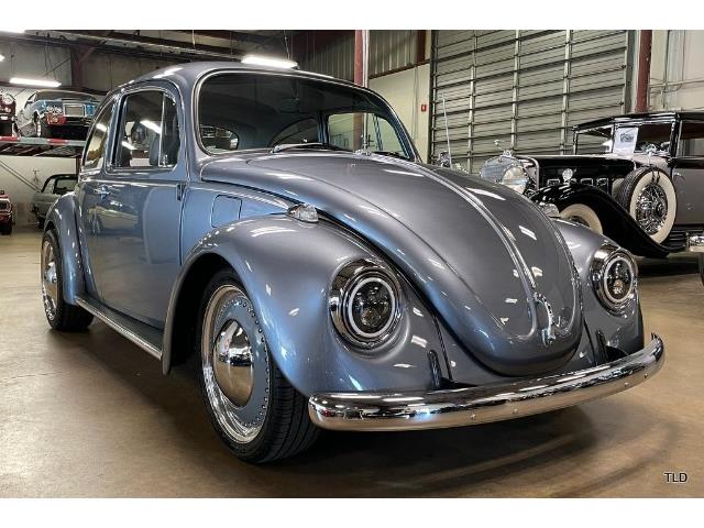 1969 Volkswagen Beetle (CC-1855366) for sale in Chicago, Illinois