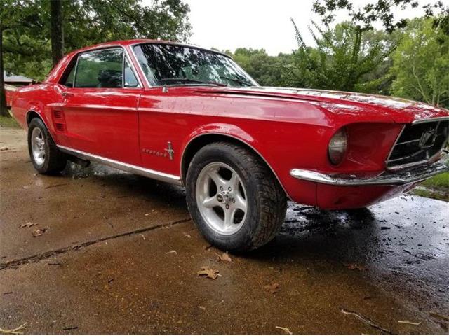 1967 Ford Mustang (CC-1855473) for sale in Cadillac, Michigan