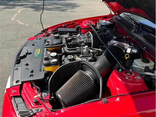 2007 Shelby GT500 (CC-1855551) for sale in Springfield, Massachusetts