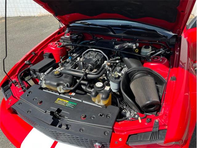2007 Shelby GT500 (CC-1855551) for sale in Springfield, Massachusetts