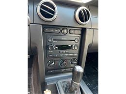 2007 Shelby GT500 (CC-1855551) for sale in Springfield, Massachusetts