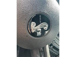 2007 Shelby GT500 (CC-1855551) for sale in Springfield, Massachusetts