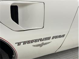 1980 Pontiac Firebird (CC-1855891) for sale in Morgantown, Pennsylvania