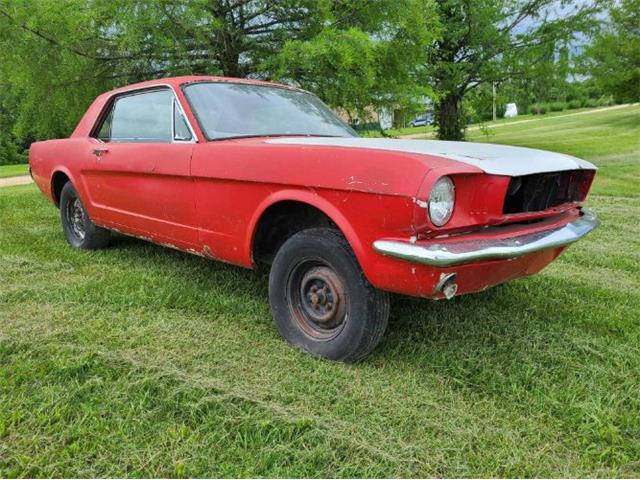 1966 Ford Mustang (CC-1855933) for sale in Cadillac, Michigan