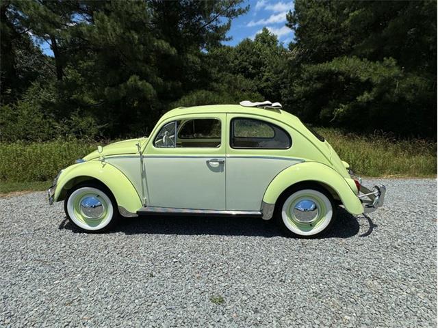 1964 Volkswagen Beetle (CC-1856046) for sale in Greensboro, North Carolina
