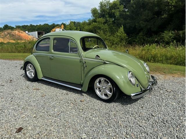 1954 Volkswagen Beetle (CC-1856063) for sale in Greensboro, North Carolina