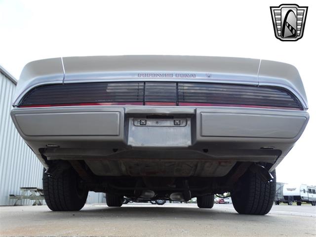 1979 Pontiac Firebird for Sale | ClassicCars.com | CC-1856074