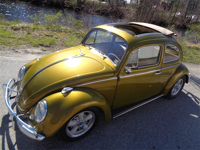 1961 Volkswagen Beetle (CC-1856156) for sale in webster, Massachusetts