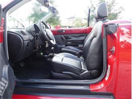 2008 Volkswagen Beetle (CC-1856876) for sale in Palmetto, Florida