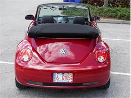 2008 Volkswagen Beetle (CC-1856876) for sale in Palmetto, Florida