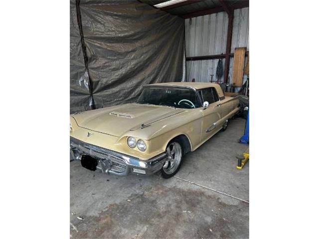 1959 Ford Thunderbird (CC-1850714) for sale in Cadillac, Michigan