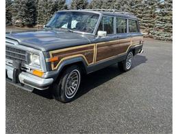 1987 Jeep Grand Wagoneer (CC-1857431) for sale in Cadillac, Michigan