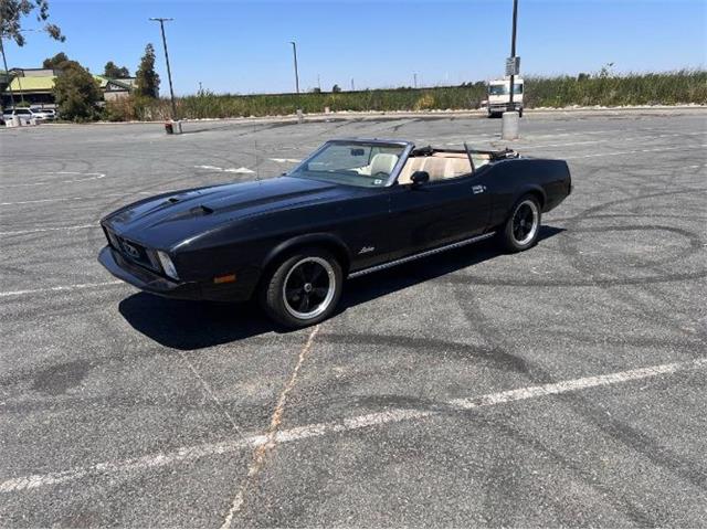 1973 Ford Mustang GT (CC-1857434) for sale in Cadillac, Michigan