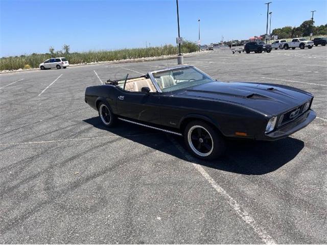 1973 Ford Mustang GT (CC-1857434) for sale in Cadillac, Michigan