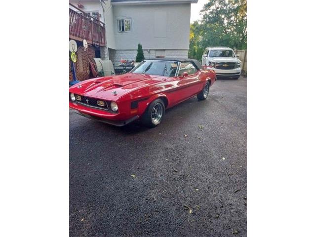 1973 Ford Mustang (CC-1857459) for sale in Cadillac, Michigan