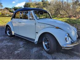 1969 Volkswagen Beetle (CC-1850752) for sale in Cadillac, Michigan