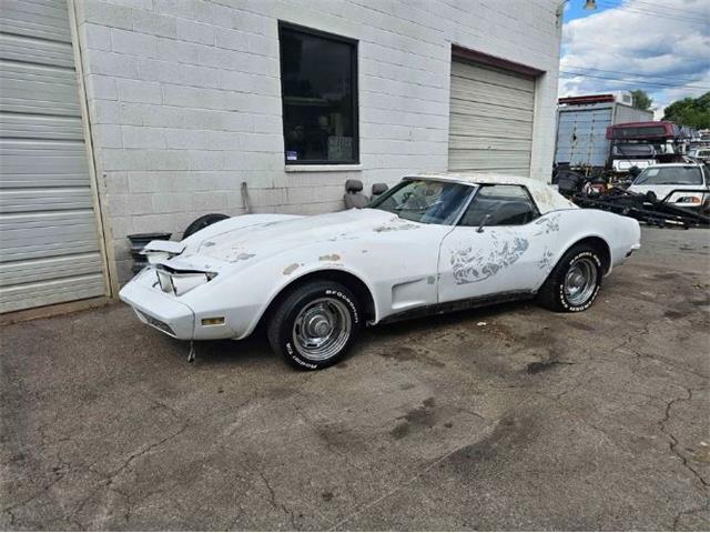 1973 Chevrolet Corvette (CC-1857639) for sale in Cadillac, Michigan