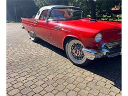 1957 Ford Thunderbird (CC-1857664) for sale in Cadillac, Michigan