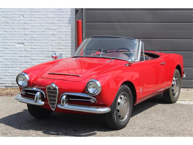 1964 Alfa Romeo Giulia Spider (CC-1857759) for sale in Elyria, Ohio