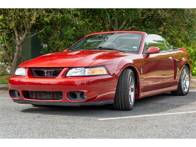2003 Ford Mustang SVT Cobra (CC-1857764) for sale in Chapel Hill, North Carolina