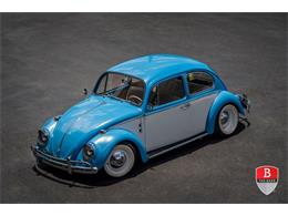 1965 Volkswagen Beetle (CC-1857922) for sale in Miami, Florida