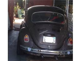 1969 Volkswagen Beetle (CC-1850808) for sale in Cadillac, Michigan