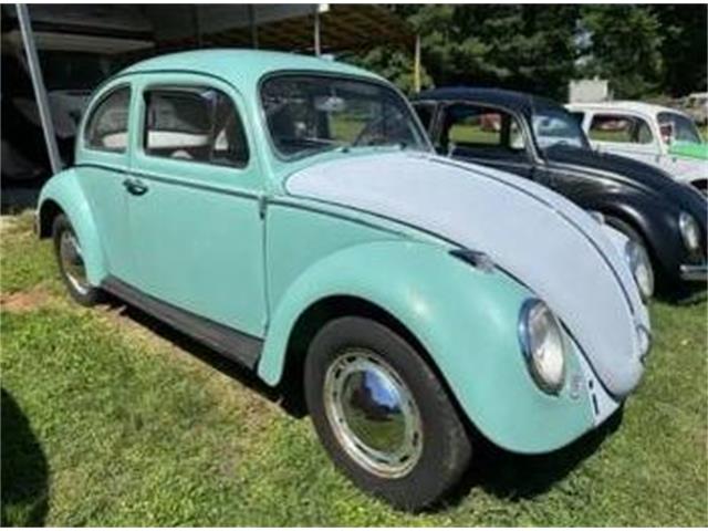 1963 Volkswagen Beetle (CC-1858131) for sale in Cadillac, Michigan