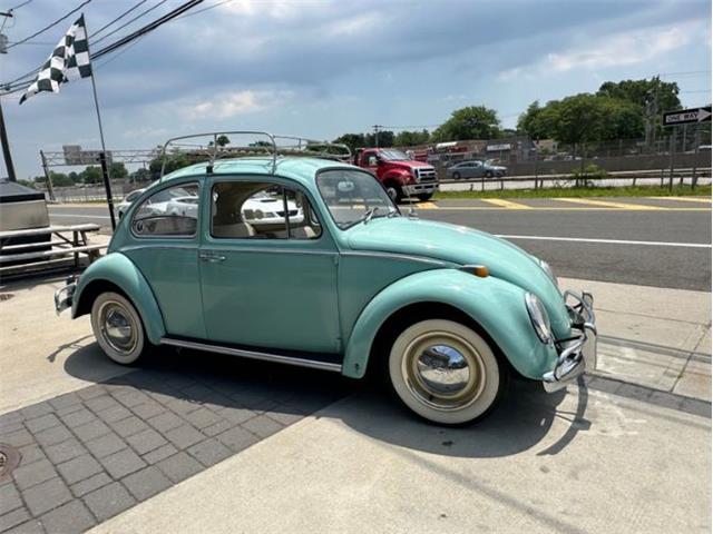 1966 Volkswagen Beetle (CC-1858144) for sale in Cadillac, Michigan