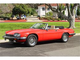 1990 Jaguar XJS (CC-1858480) for sale in San Diego, California